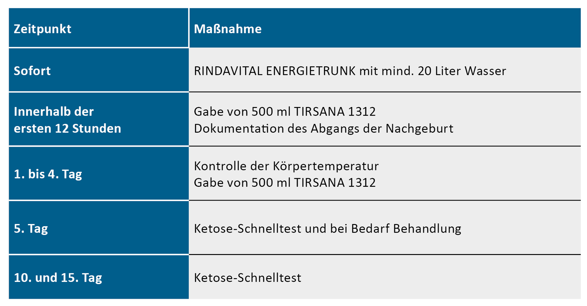 Routine rund um die Abkalbung auf Gut Hülsenberg