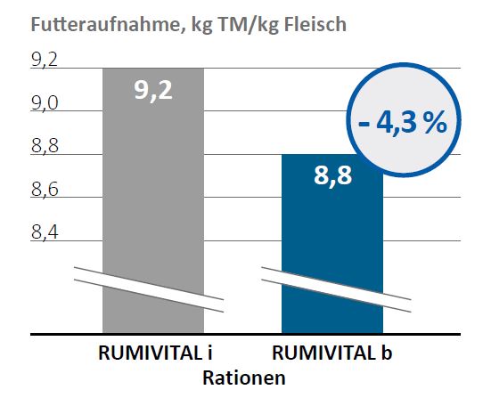 RUMIVITAL b überzeugt im Praxistest auf dem Betrieb Hagen