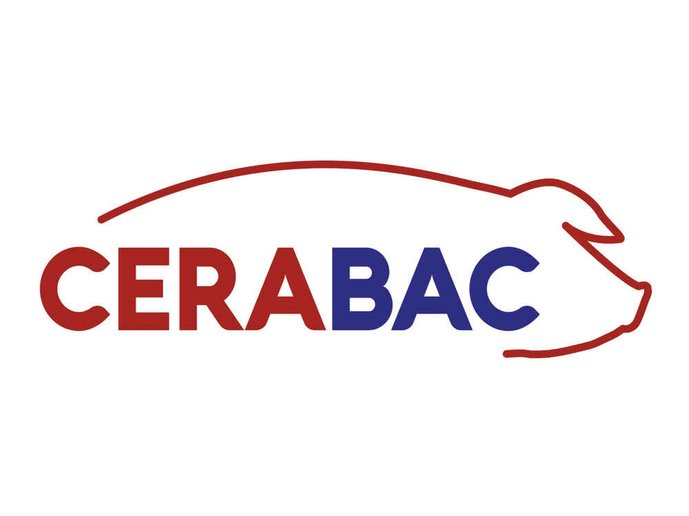 CERABAC hemmt pathogene Keime und stimuliert die Immunabwehr