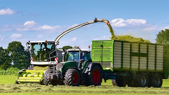 Grasernte mit Traktor und Häcksler