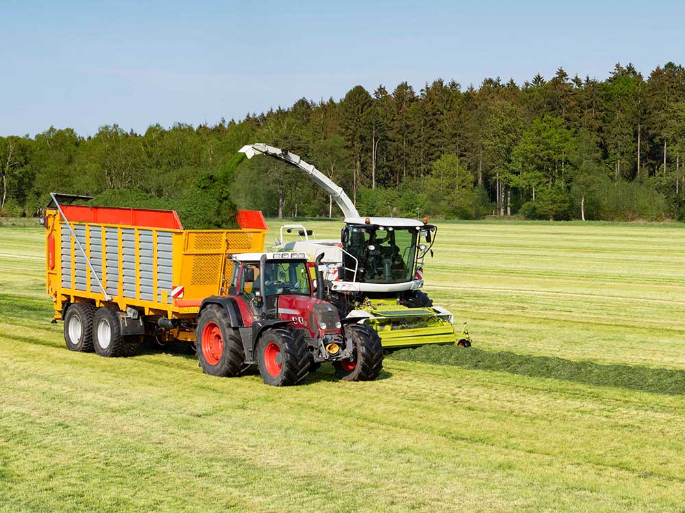 Grassilageernte mit Häcksler und Überladewagen