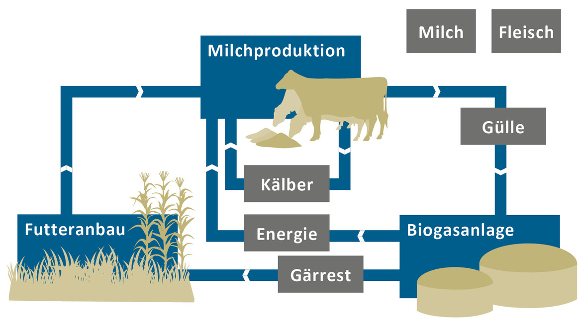 Klimabilanz